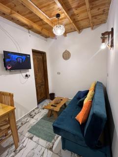 Sina Houses-one bedroom apartment - 8