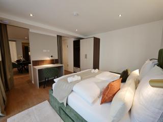 Homely Stay City Apartments - 2