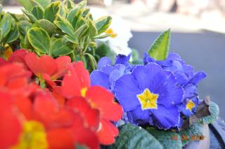 Loaninghead Holidays - Drymen - 2