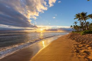 Kaanapali Shores 732 - 9