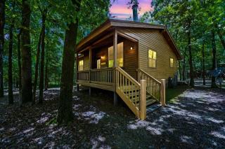 Bear Hug Hot Tub Fire Pit, Pet-Friendly Escape - 0