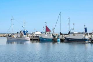 DJ85100-Glesborg-Fiskervej-8 - 6