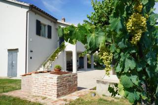 Netik Apartment Cortona - Tuscan Vineyard escape - 0