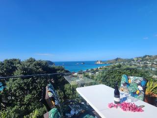 Tirohanga a Hei - The view of Hei Adults only - 2