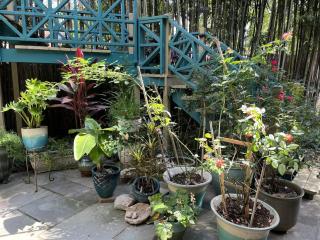 Garden 1BR with Free Parking Georgetown - 2