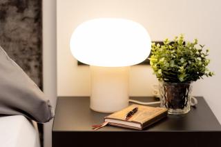 Liesel´s Loft - City Appartement im Herzen der Wasserstadt Nordhorn luxuriös und ideal für Erholungssuchende - 4
