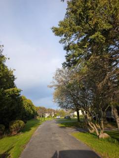 Breath-taking 1879 Country Estate- Victorian Home - 9