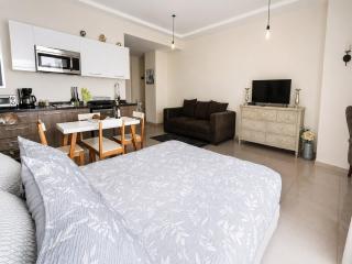 Condesa Loft w Pool, Sauna & Private Parking - 1