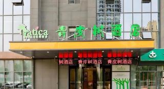 Vatica Hotel Hefei Yaohai Longgang Subway Station - 1