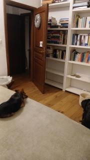 Al Riccio house - 3