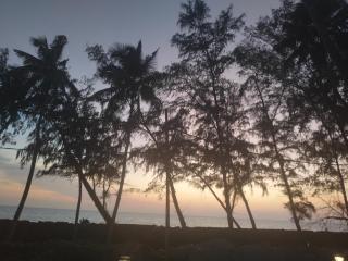 Palm Beach View Resort Cherai - 1