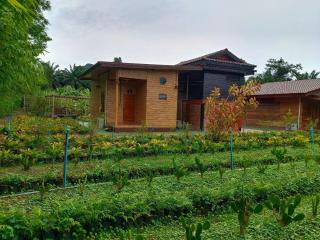 สวนไผ่ เดอะ คาเฟ่ - 2