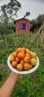 Saney Farm stay - 5