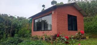 Saney Farm stay - 3