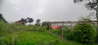 Saney Farm stay - 2