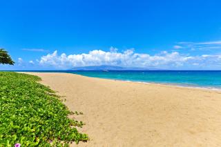 Kaanapali Shores 849 - Kahana - 4