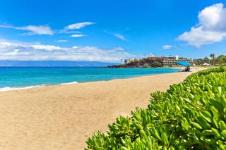 Kaanapali Shores 849 - Kahana - 2
