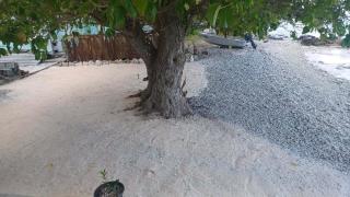 Chez Mihiau Camping Tiputa-Rangiroa - 3