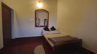 Eshara plantation - 4