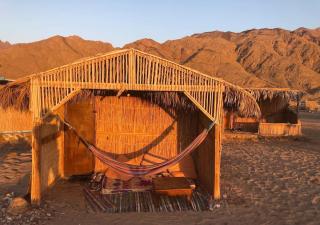 La Basha Camp - 0