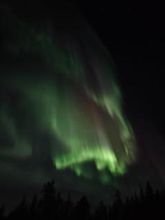 Christmas Hideaway, Private Sauna By Lapland Host - 7