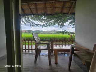 Rasta Cafe Resort Hampi - 0