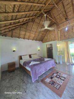 Rasta Cafe Resort Hampi - 4