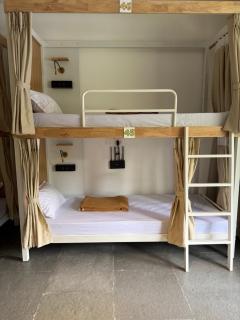 Happy Panda Hostel Arambol Goa - 2
