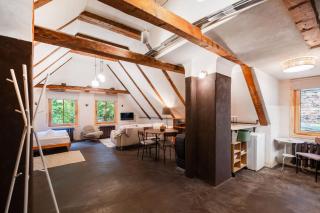 Dandelion Apartment Rustic Studio - 1