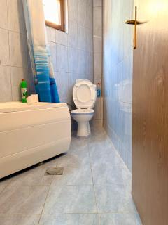 Ronis apartment - 2