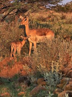 Hamton Game Farm - 3
