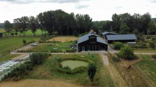 Raafjeshof - Vakantiewoning - 6