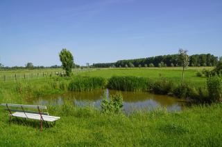 Raafjeshof - Vakantiewoning - 5