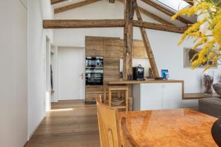 Penthouse-Loft Gut Stohrerhof - 1