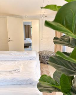 Nordic 2BR Hideaway in Hellerup - 5