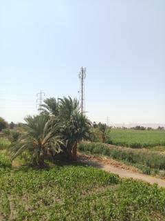 Mountain view - 2