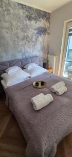 Apartament Vitis Rose - 9