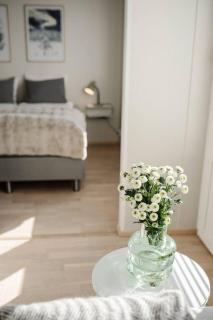 Flow Lapland Loimu - 8