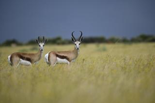 Hamton Game Farm - 8