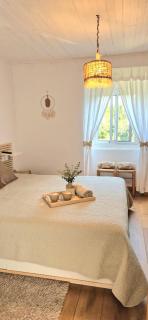 Casa Rural en la Ribeira Sacra Finca A Granxa - 9