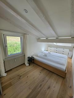 Enzian - Engadin HITrental Apartment - 5