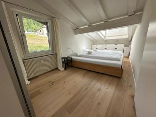 Enzian - Engadin HITrental Apartment - 4