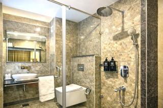 The SIGNATURE INN MALL ROAD MCLEODGANJ - 1