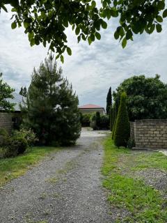 Family Guest House - 0