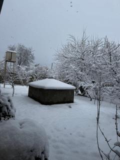 Family Guest House - 7