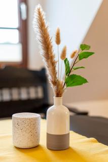 Lassen Hof Ferienwohnung 'Kornblume' in Brodersby an der Schlei - 3