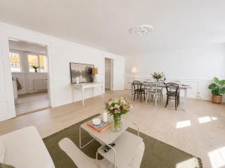 Spacious 3-Floor Apartment, Nyhavn Rooftop Terrace - 3