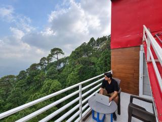 Wonder Hill Kasauli - 5