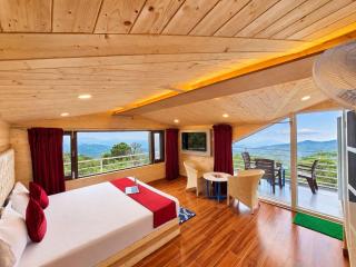 Wonder Hill Kasauli - 9
