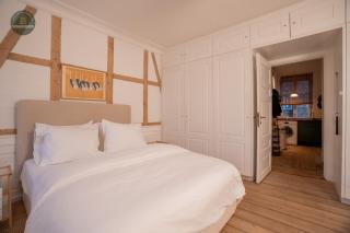 Charming 2BR Apartment in central Copenhagen K - 6